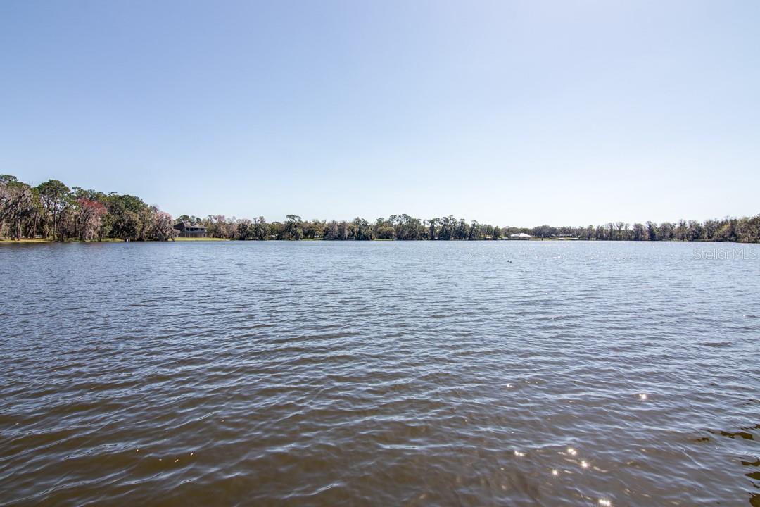 6866 BENDELOW DR, LAKELAND, FL — photo 31