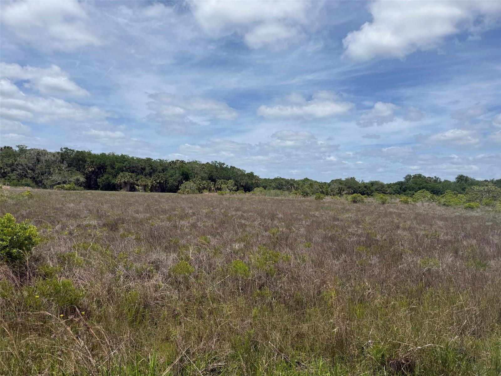 15575 NW 296TH ST, OKEECHOBEE, FL