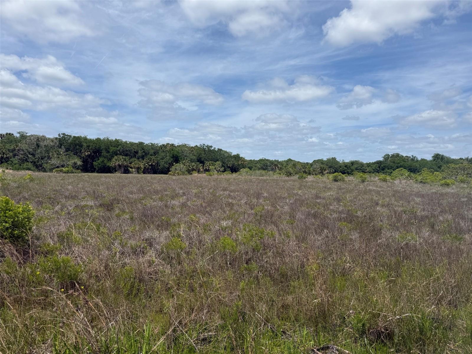 15575 NW 296TH ST, OKEECHOBEE, FL — photo 2