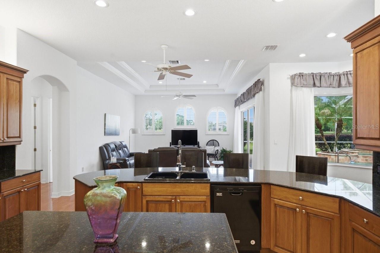 5021 CHAMPIONSHIP CUP LN, SPRING HILL, FL — photo 10
