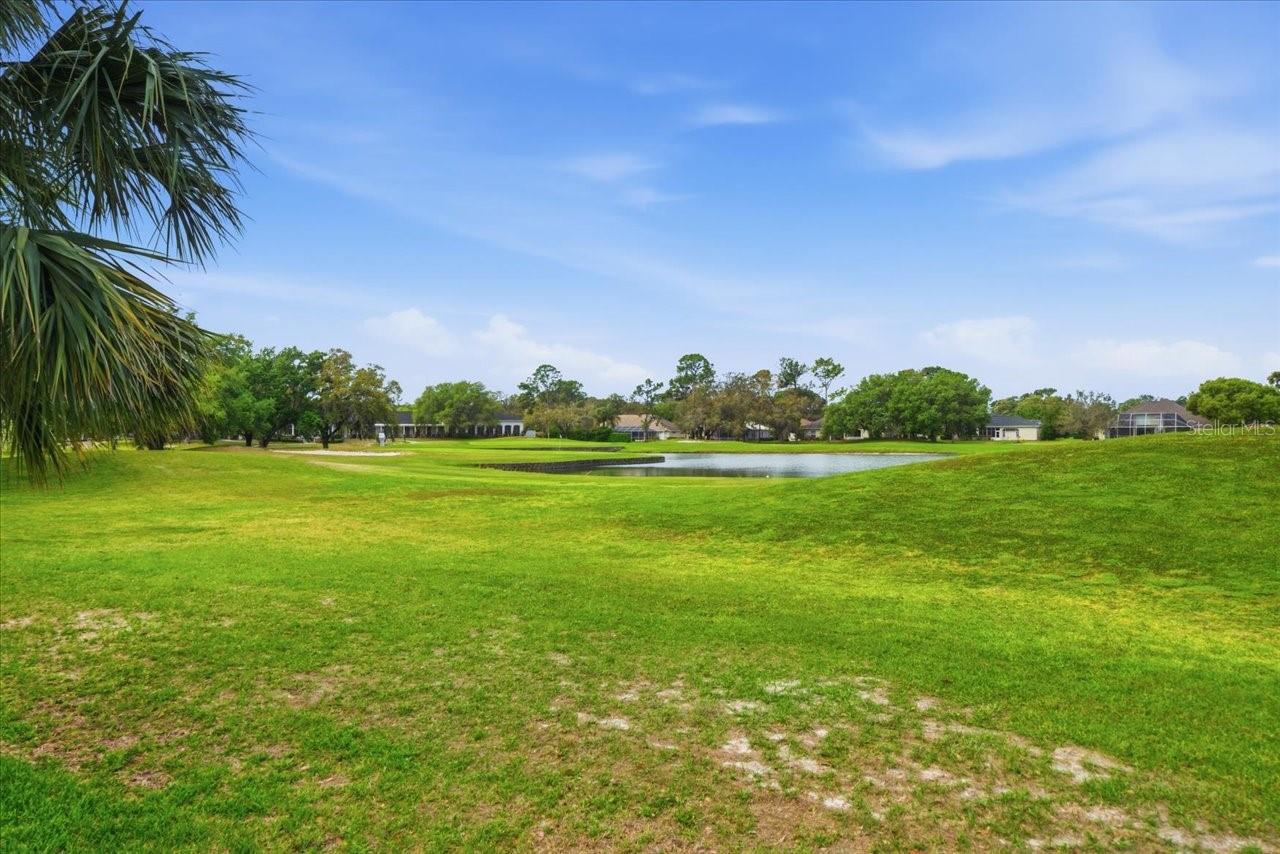 5021 CHAMPIONSHIP CUP LN, SPRING HILL, FL — photo 44