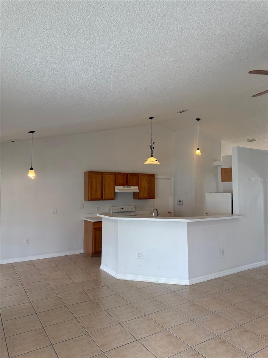 405 FRANCISCO WAY, KISSIMMEE, FL — photo 15