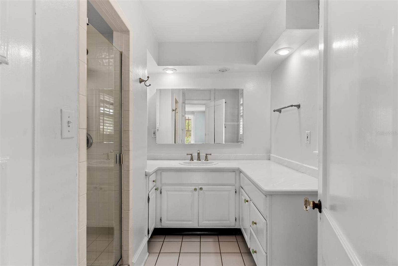 418 JASMINE WAY, CLEARWATER, FL — photo 19