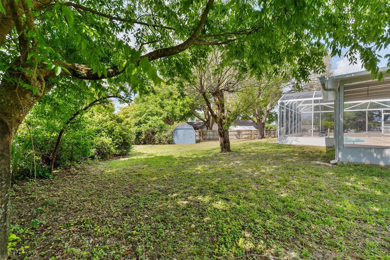12130 NEST CT, GRAND ISLAND, FL — photo 45