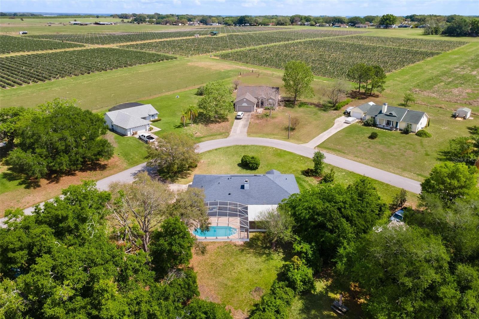 12130 NEST CT, GRAND ISLAND, FL — photo 4