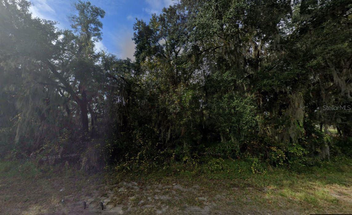 39771 COUNTY ROAD 452, LEESBURG, FL — photo 3