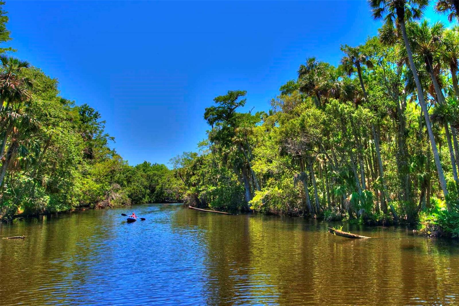 3114 SPRUCE CREEK BLVD, PORT ORANGE, FL — photo 42