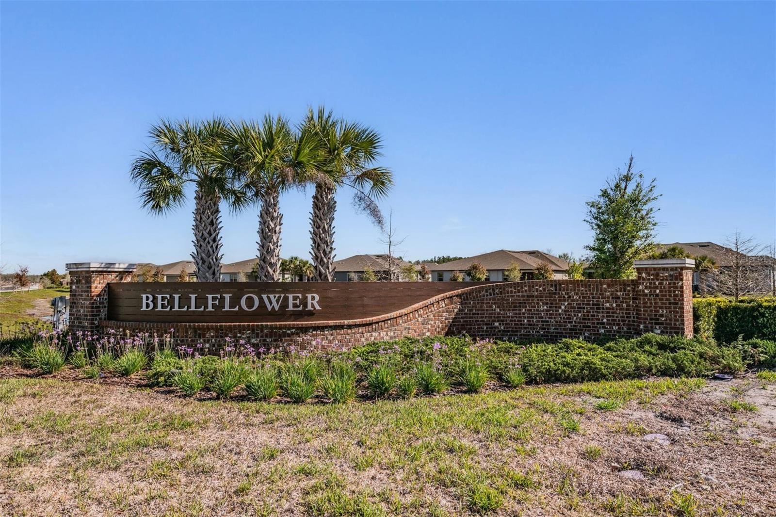 9661 ASHWORTH PL, LAND O LAKES, FL — photo 36