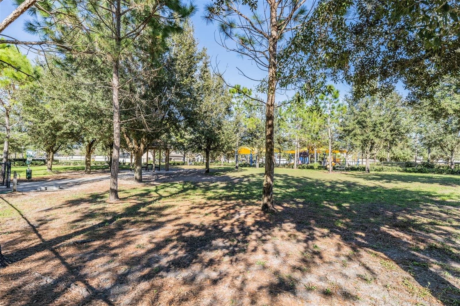 9661 ASHWORTH PL, LAND O LAKES, FL — photo 57