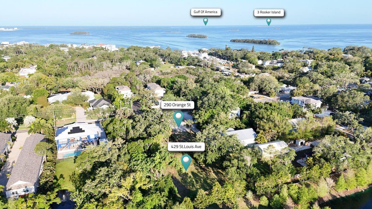 290 ORANGE ST, PALM HARBOR, FL — photo 2