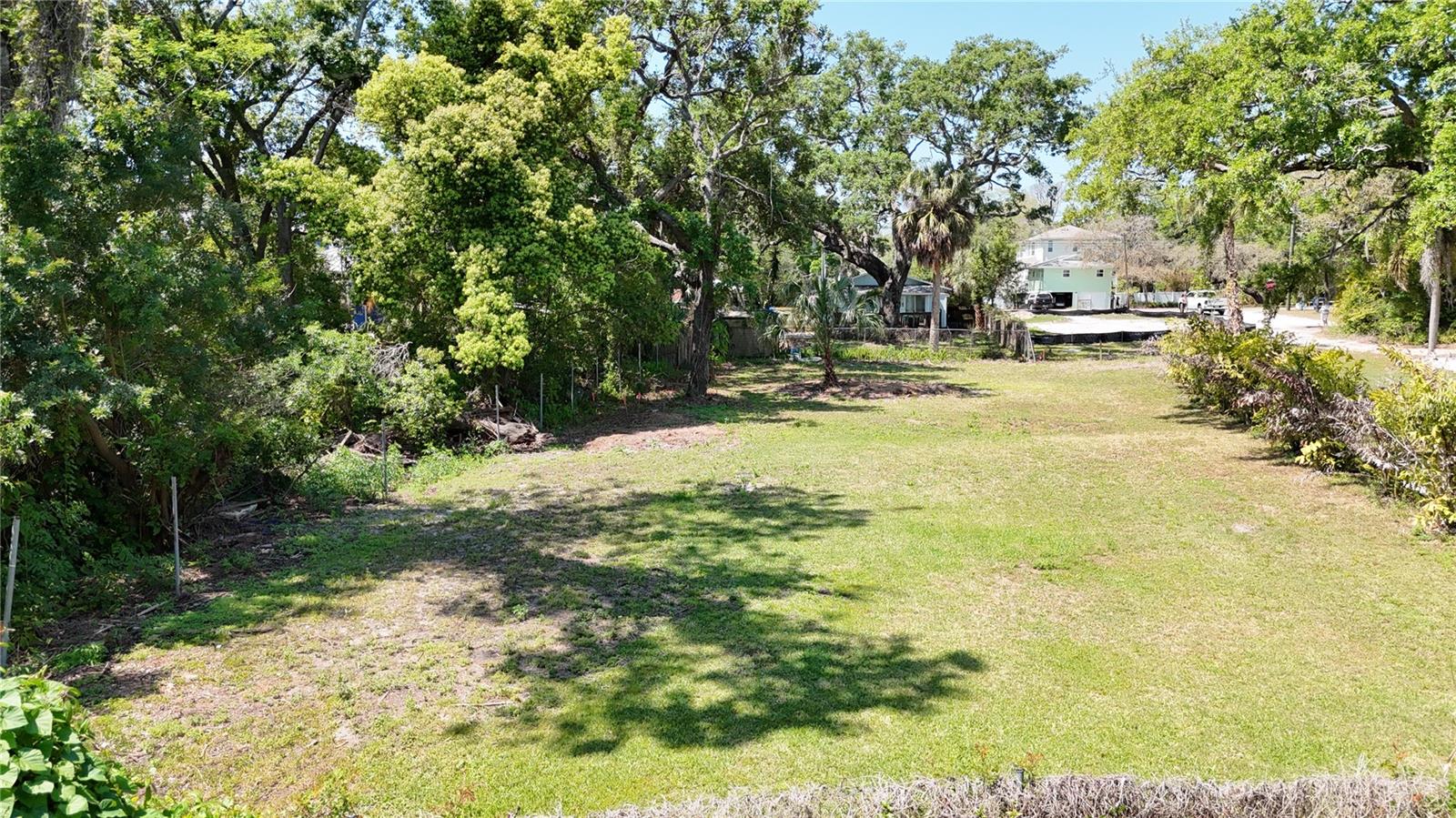 429 ST LOUIS AVE, PALM HARBOR, FL — photo 3
