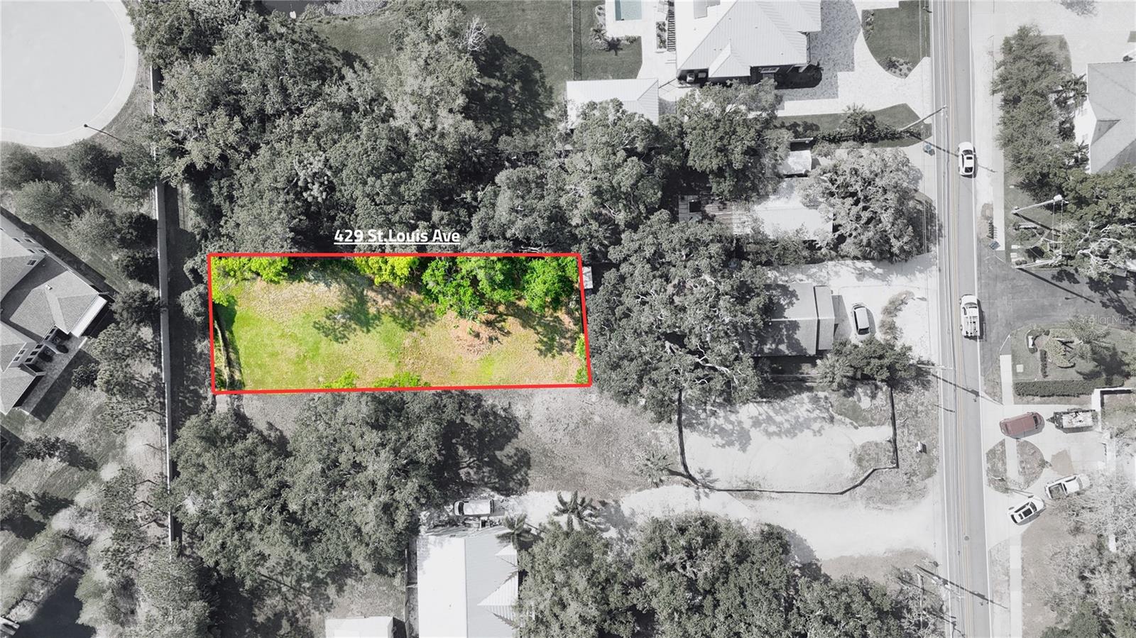 429 ST LOUIS AVE, PALM HARBOR, FL — photo 4