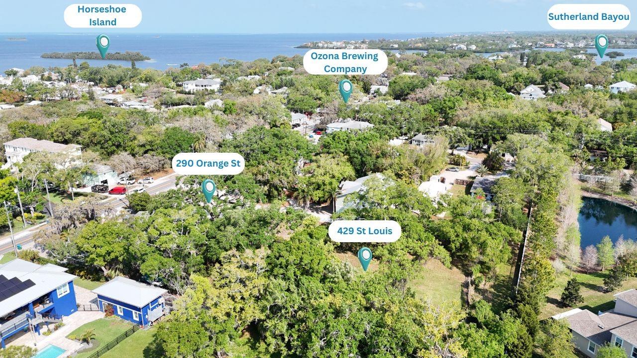 429 ST LOUIS AVE, PALM HARBOR, FL — photo 5