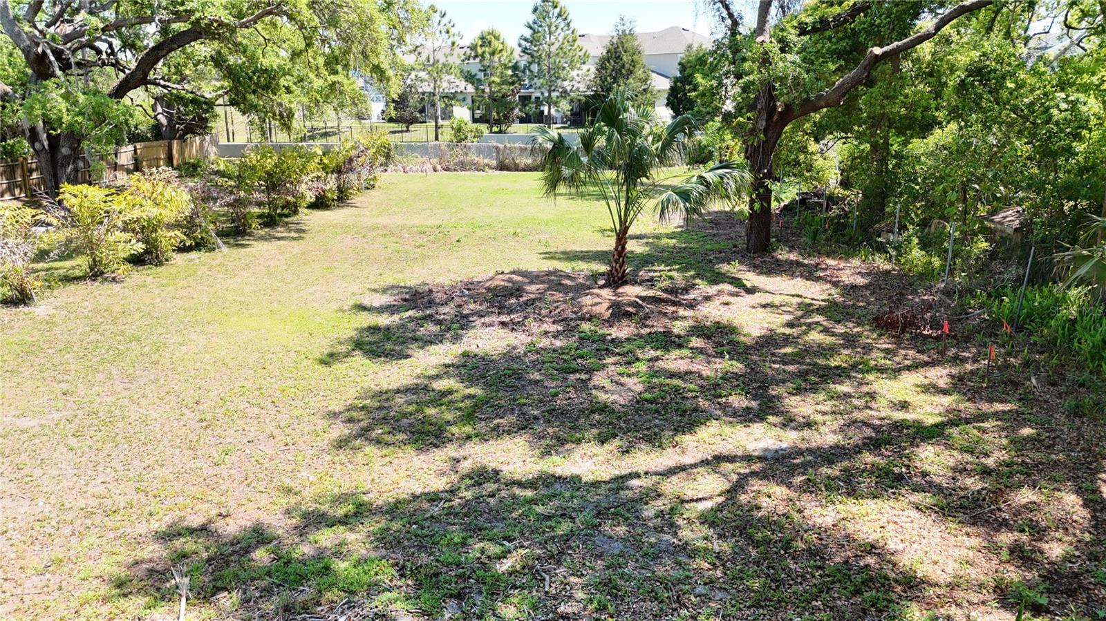 429 ST LOUIS AVE, PALM HARBOR, FL — photo 7