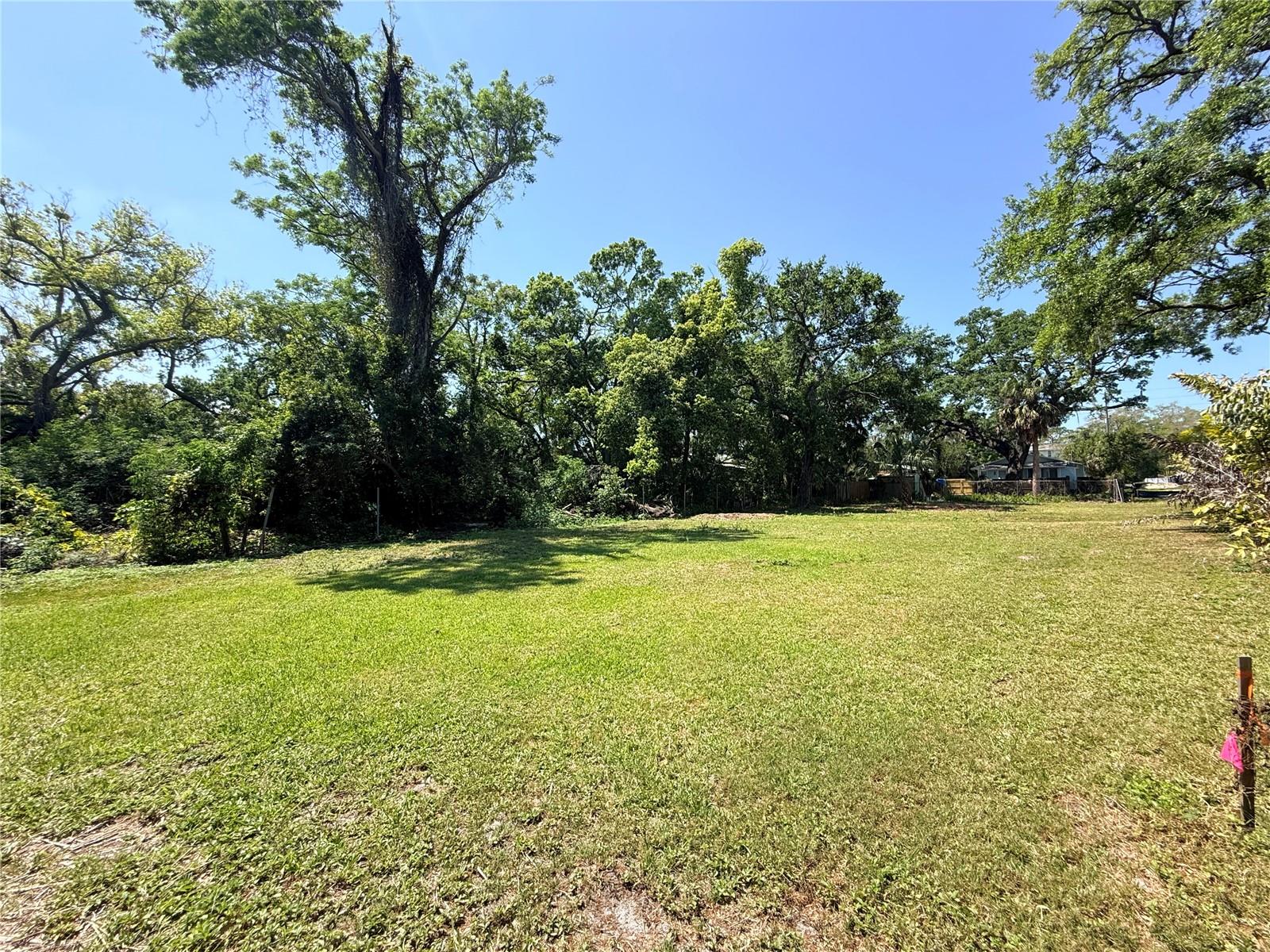 429 ST LOUIS AVE, PALM HARBOR, FL — photo 8