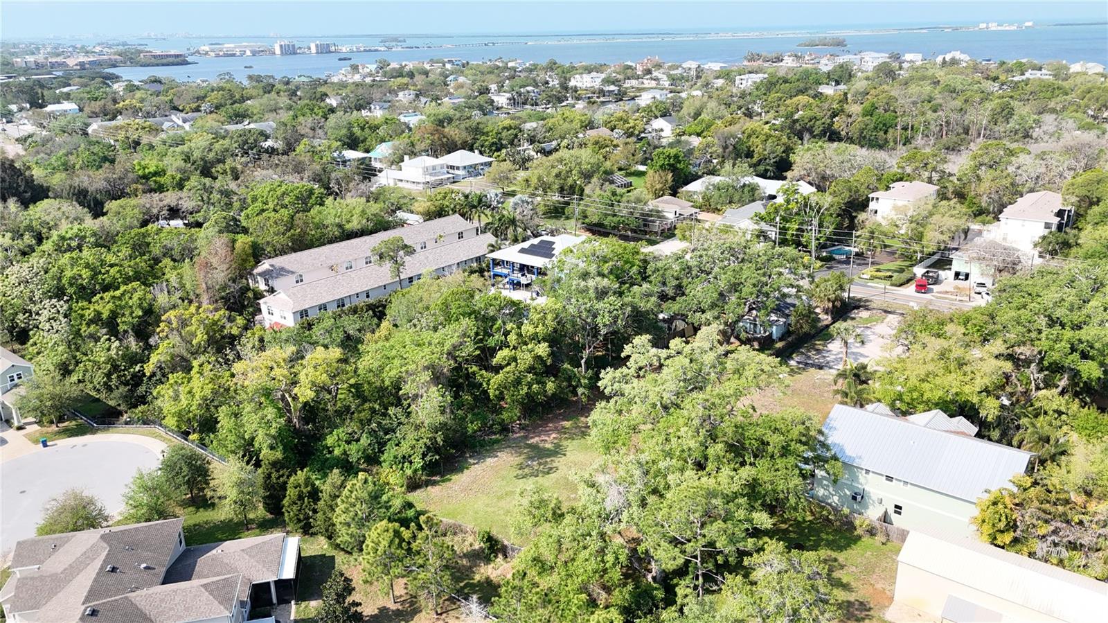 429 ST LOUIS AVE, PALM HARBOR, FL