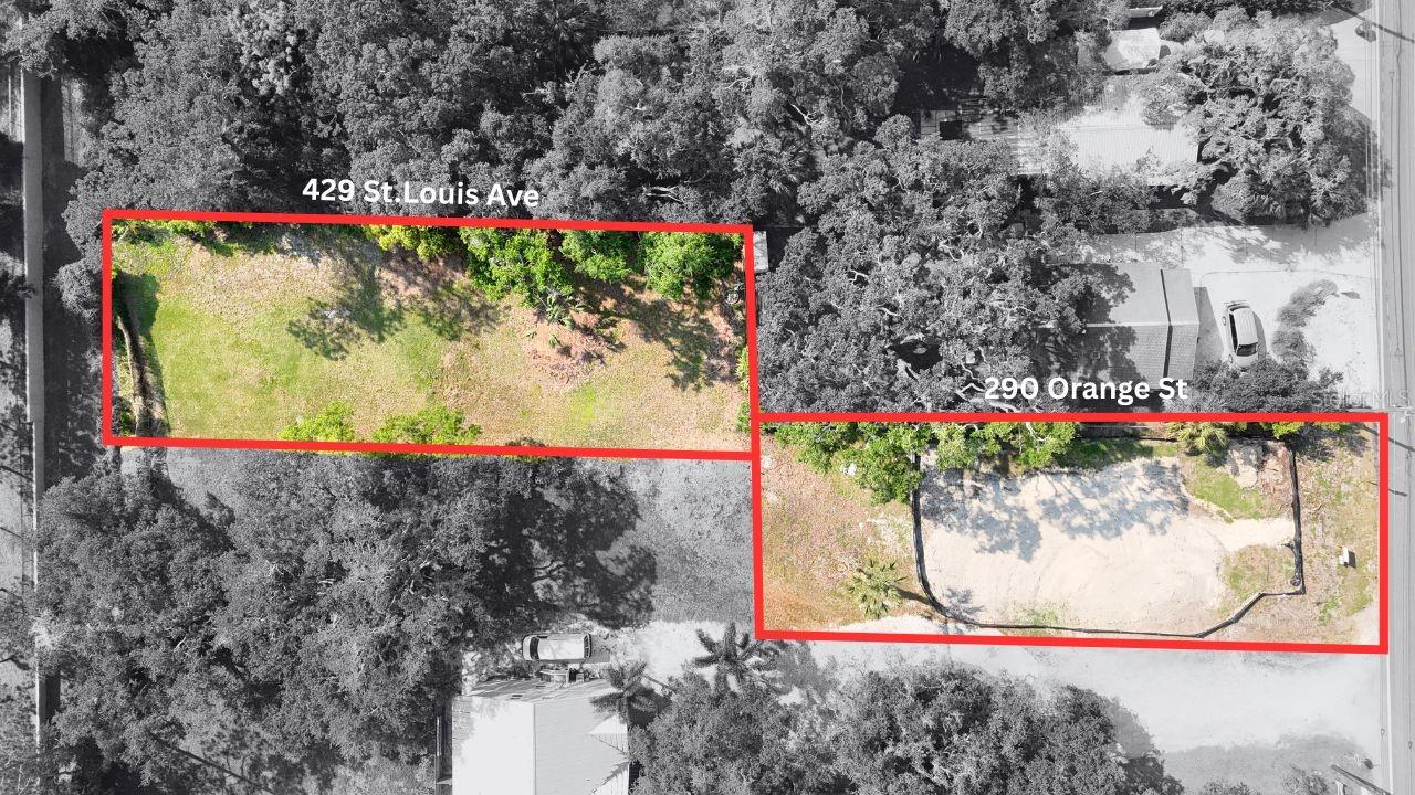 429 ST LOUIS AVE, PALM HARBOR, FL — photo 12