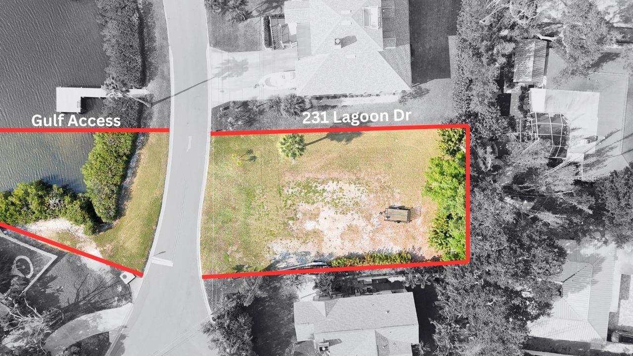 231 LAGOON DR, PALM HARBOR, FL — photo 5