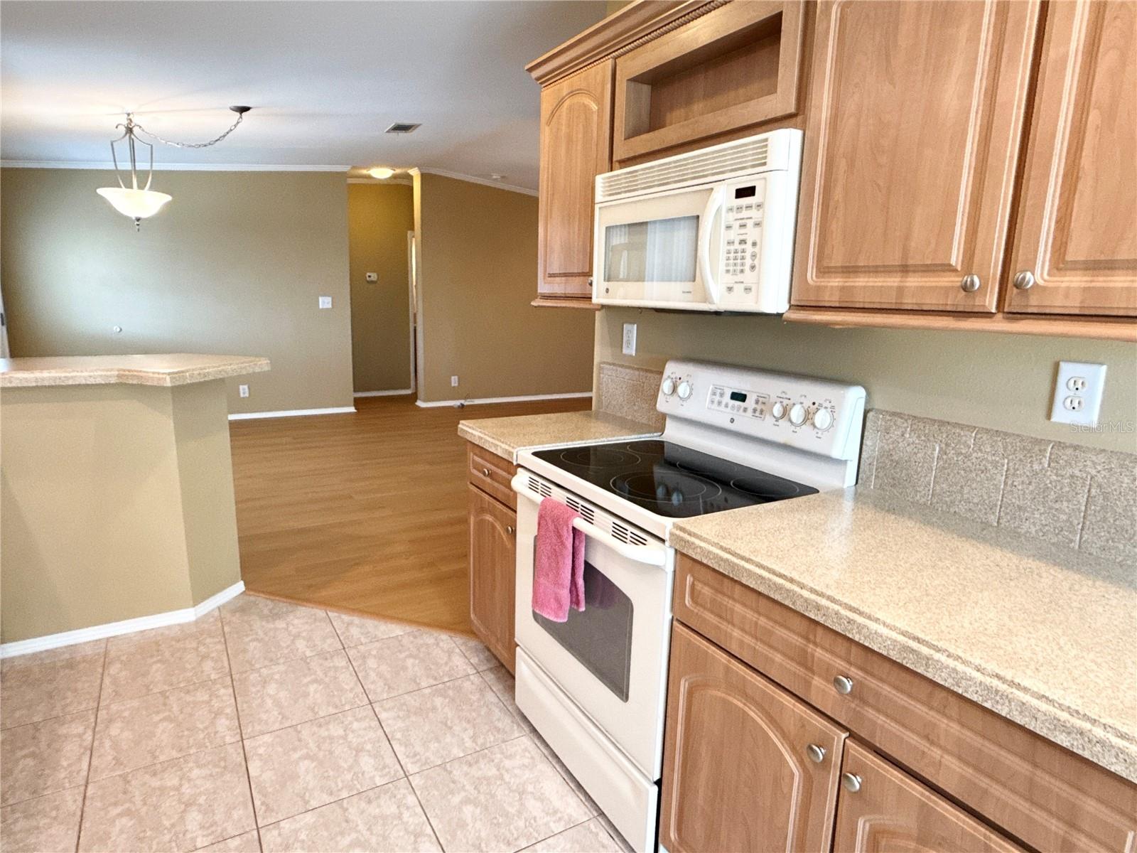 6817 MOUNT PLEASANT RD NE #49, ST PETERSBURG, FL — photo 9