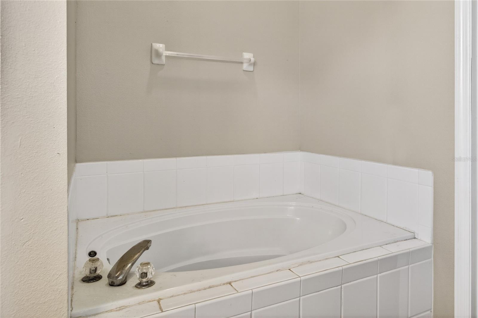28931 BEAUCLAIRE DR, TAVARES, FL — photo 40