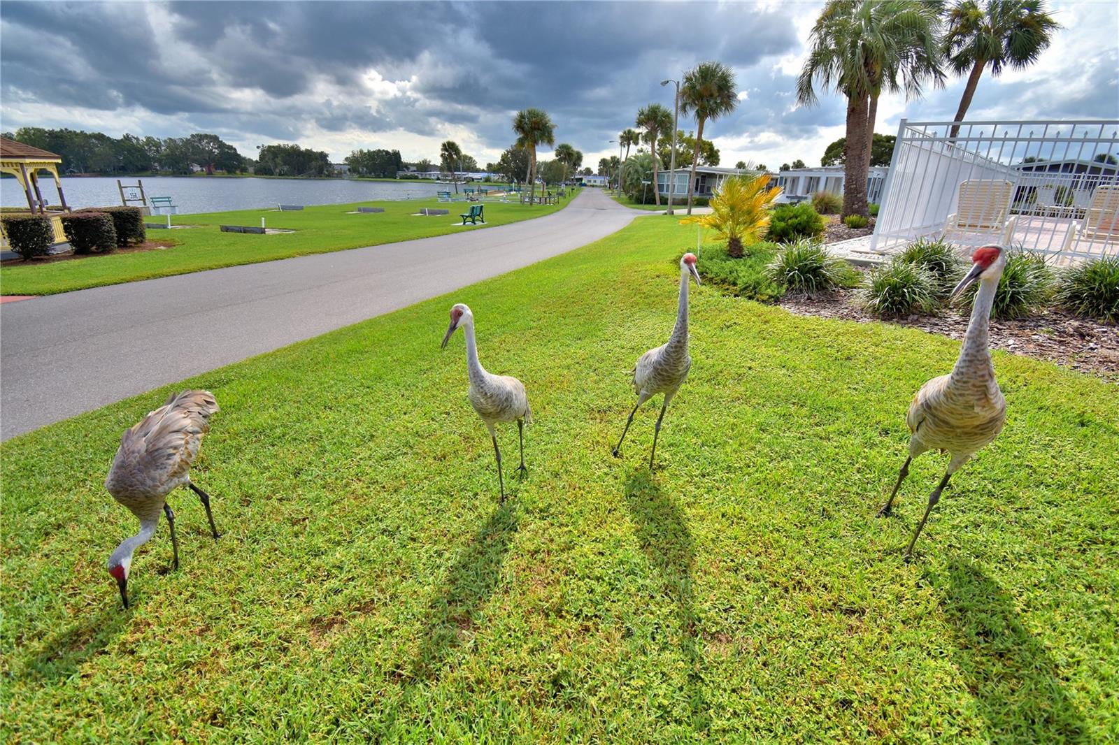 4918 ROSEWOOD ST, WINTER HAVEN, FL — photo 49