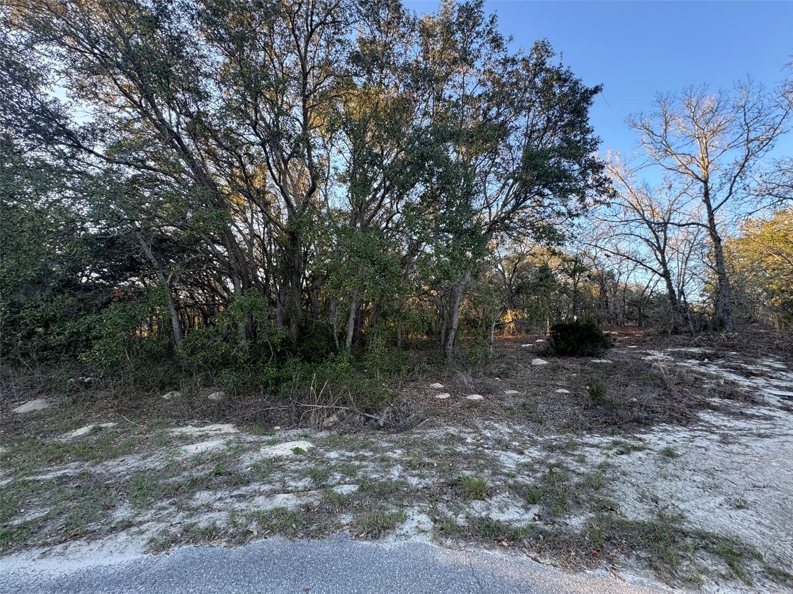 0 SW 147TH STREET RD, OCALA, FL