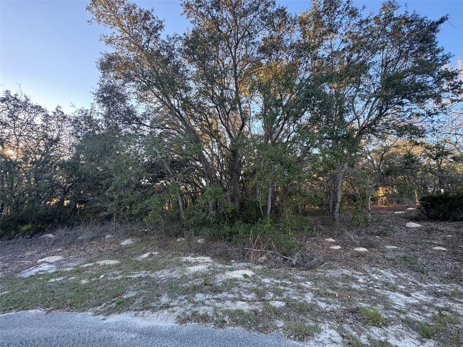 0 SW 147TH STREET RD, OCALA, FL — photo 3