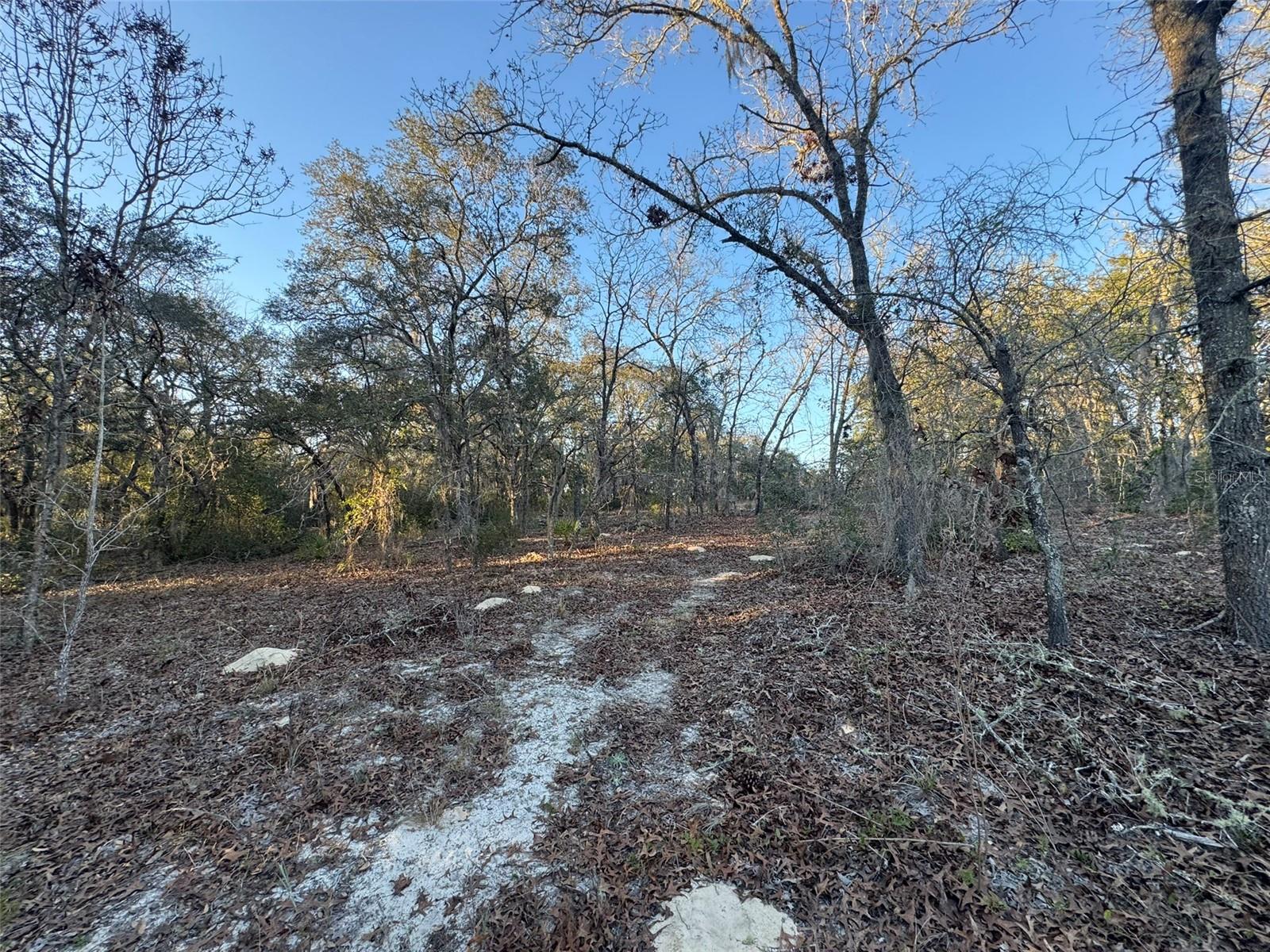 0 SW 147TH STREET RD, OCALA, FL — photo 4