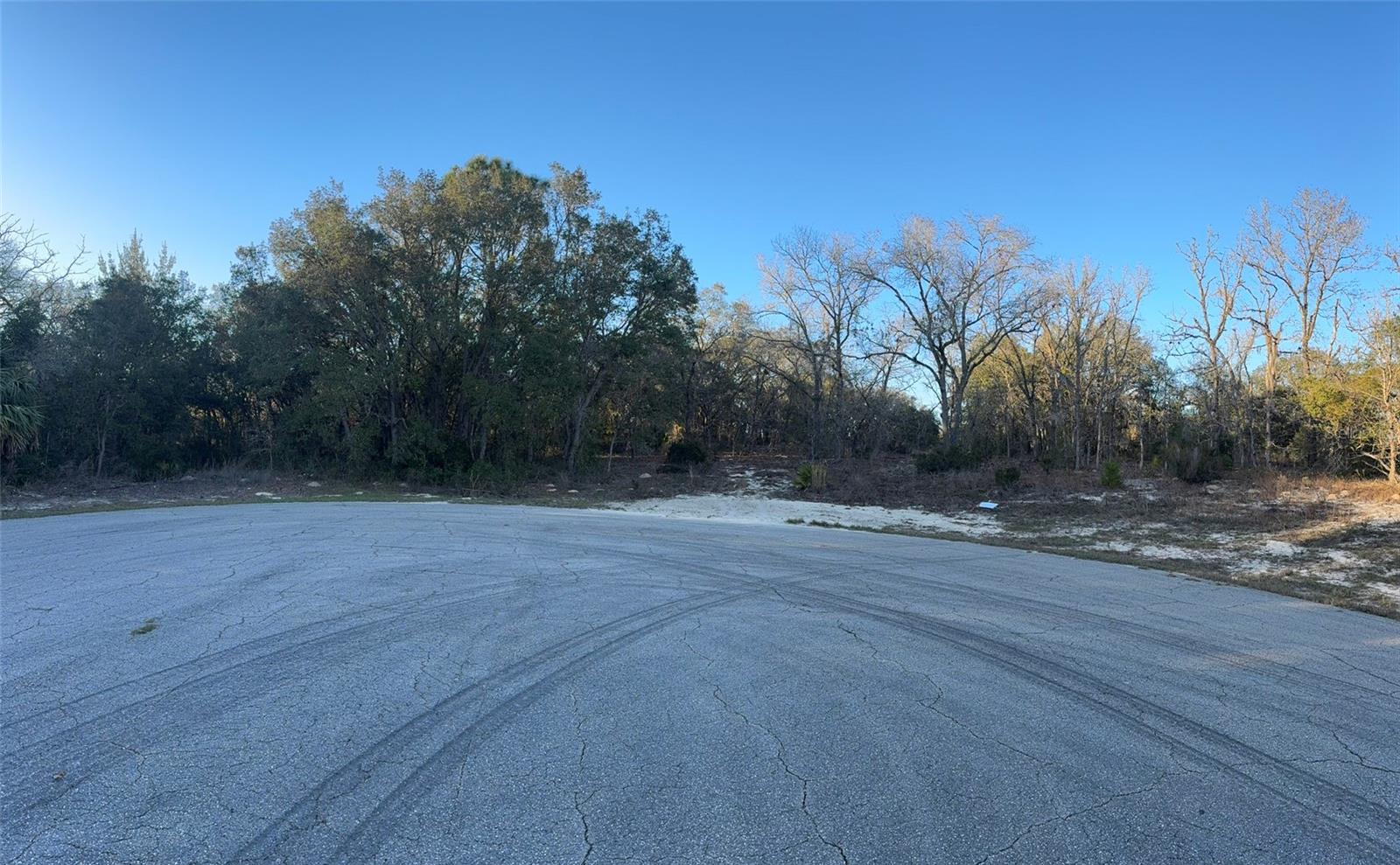 0 SW 147TH STREET RD, OCALA, FL — photo 5