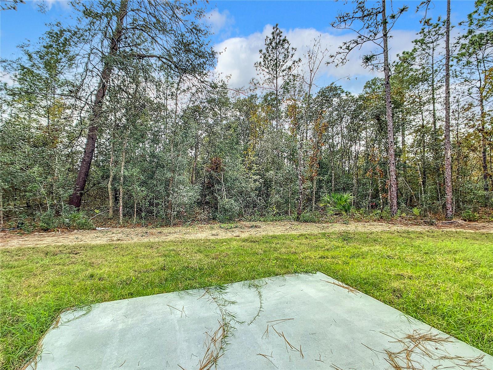 8070 SW 131ST LN, OCALA, FL — photo 33