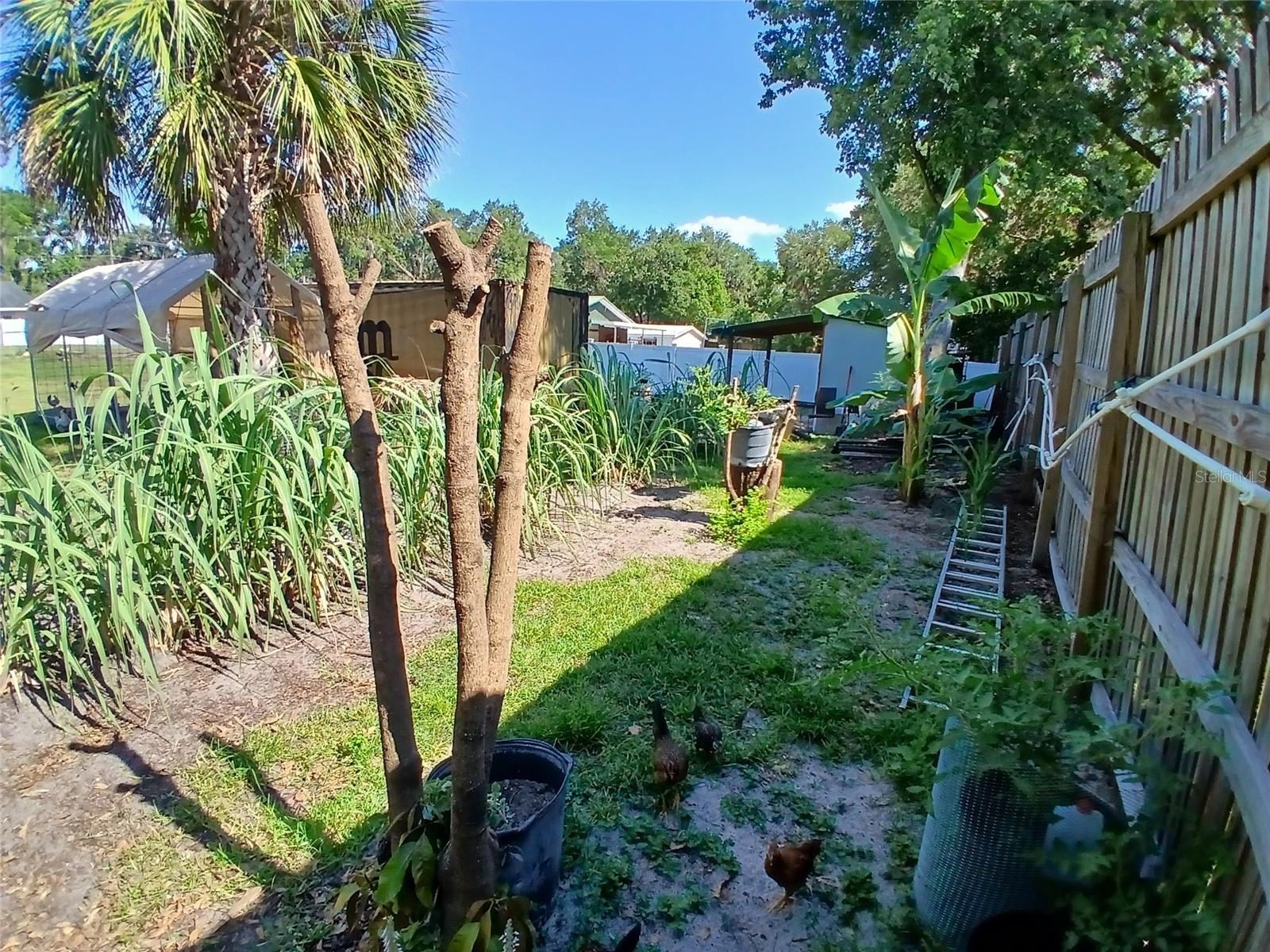 2211 NEW JERSEY RD, LAKELAND, FL — photo 27