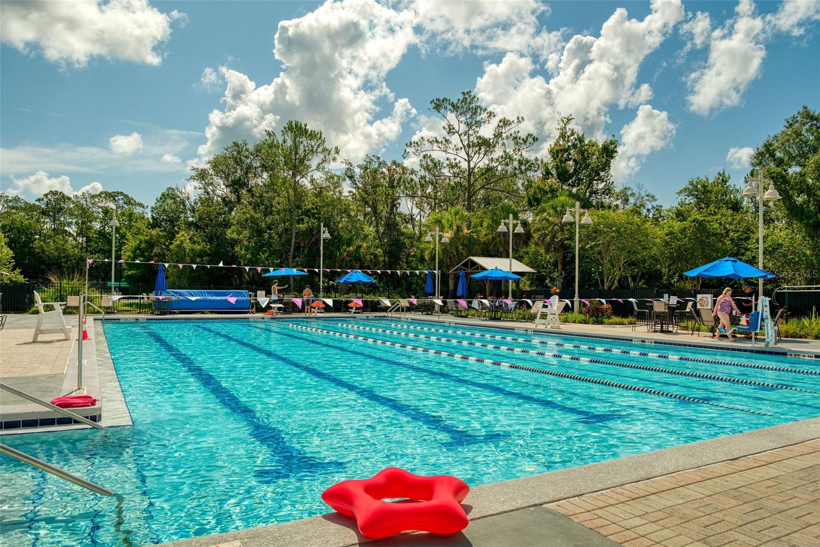 460 WATER ST #460, CELEBRATION, FL — photo 30