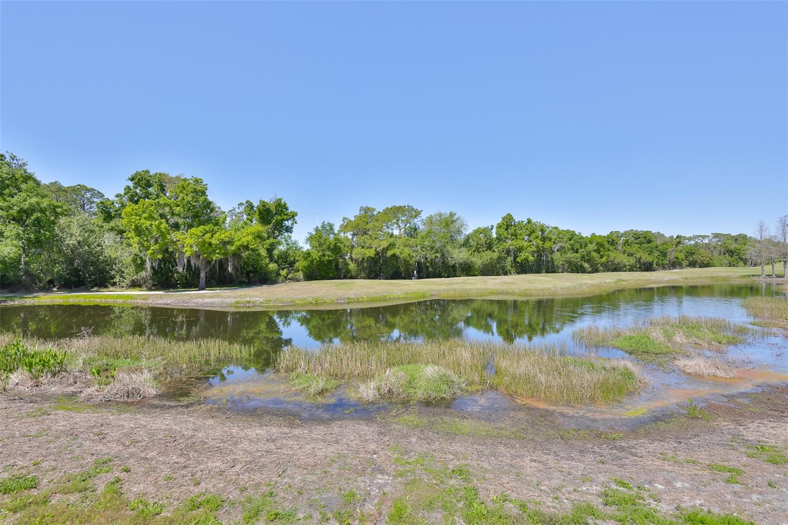 2423 RICHMOND GREENS CT, SUN CITY CENTER, FL — photo 42