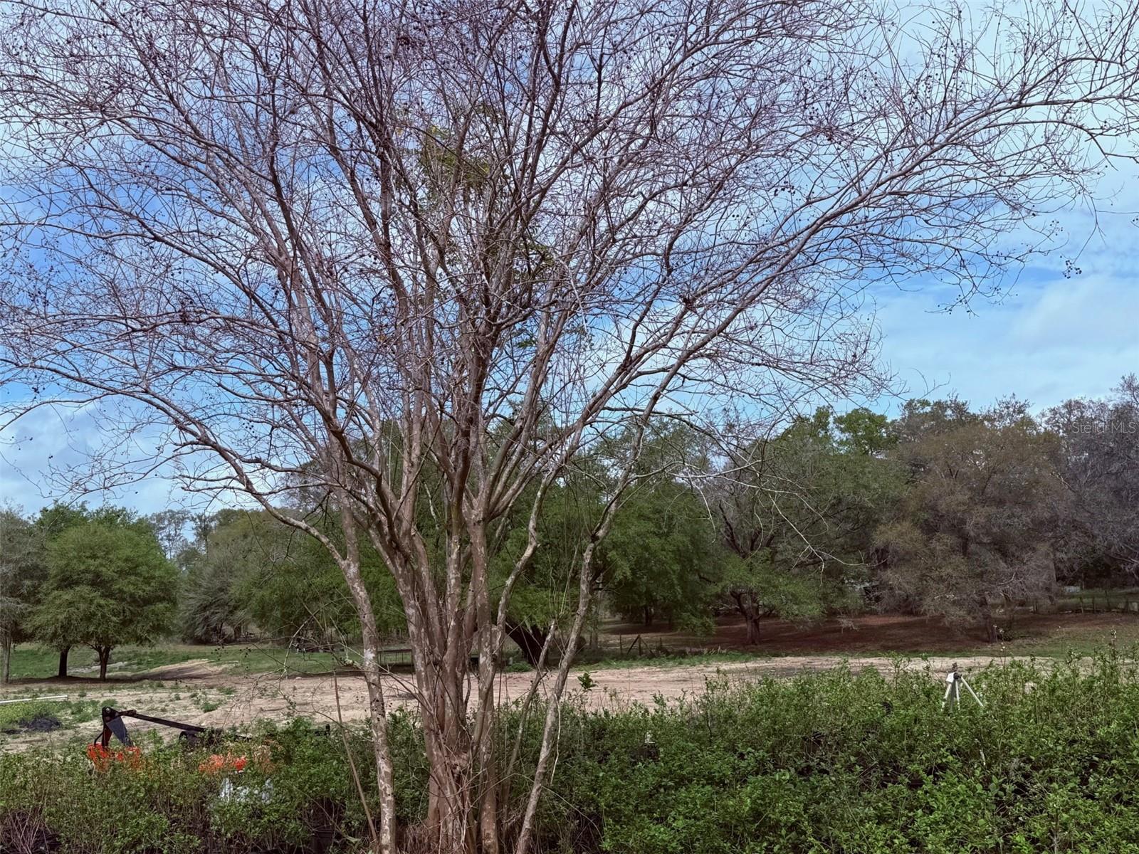 3330 PLYMOUTH SORRENTO RD, APOPKA, FL — photo 6