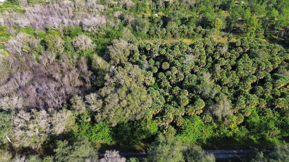 1219 ROSITA ST E, LEHIGH ACRES, FL — photo 2