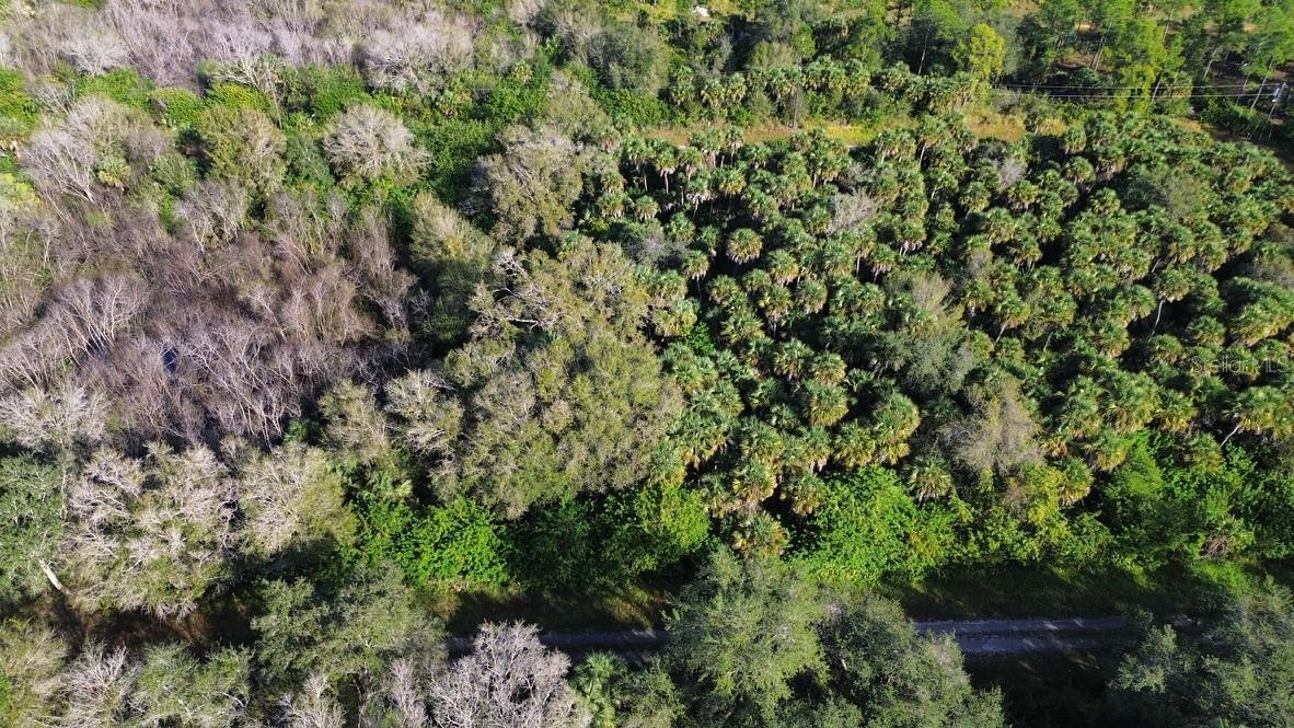 1219 ROSITA ST E, LEHIGH ACRES, FL — photo 5