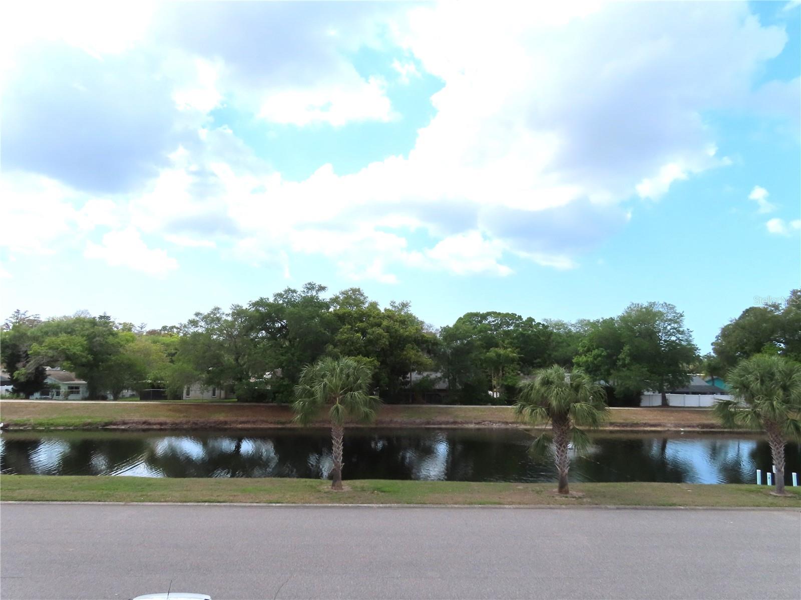 2291 AMERICUS BLVD W #37, CLEARWATER, FL — photo 5