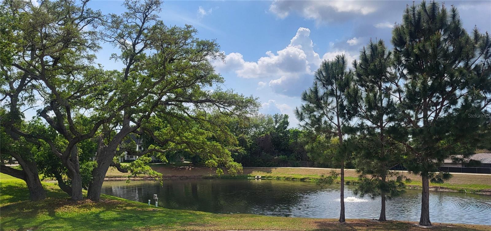 2291 AMERICUS BLVD W #37, CLEARWATER, FL — photo 3