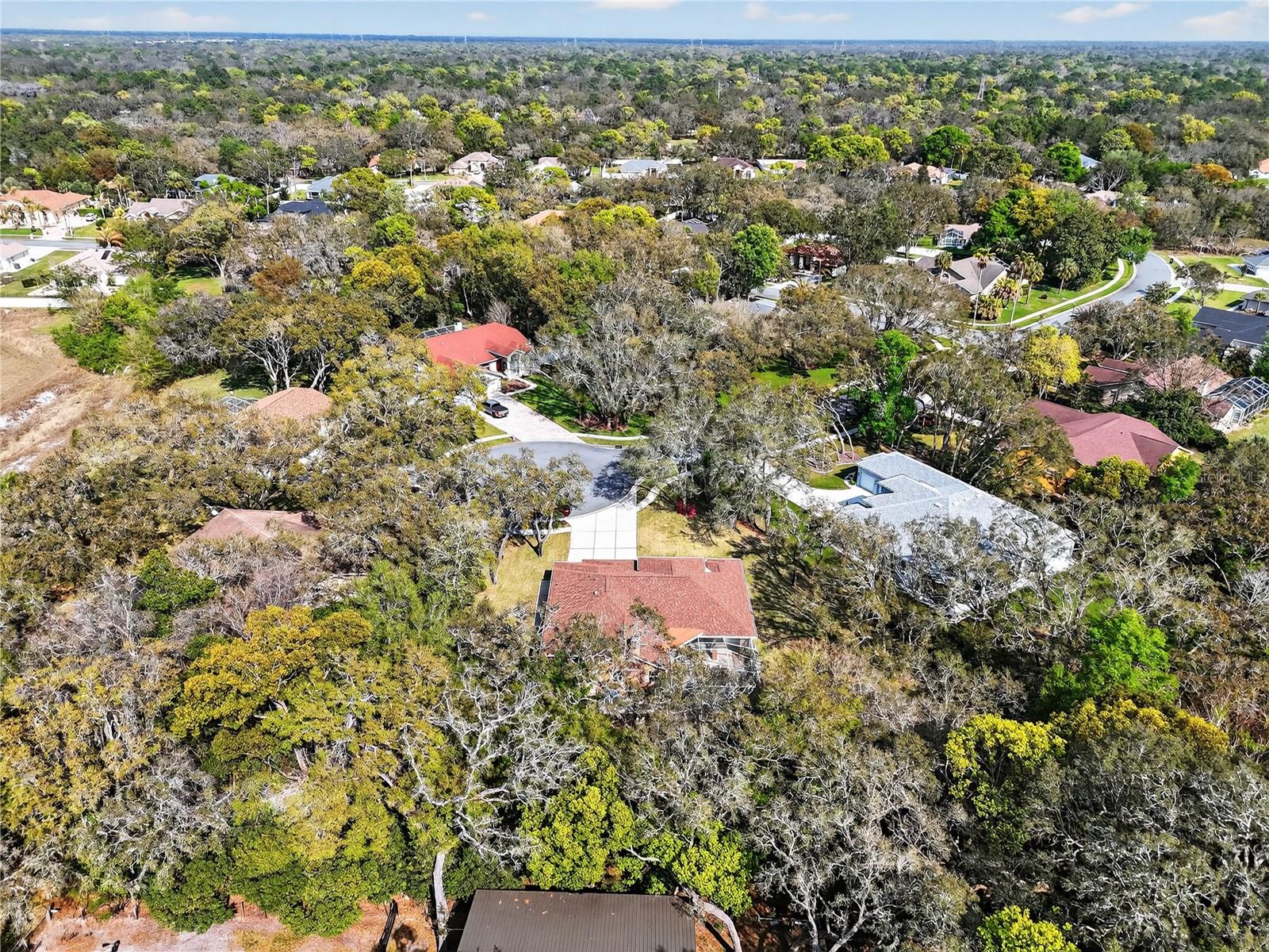 14024 WARM SPRINGS CT, HUDSON, FL — photo 35