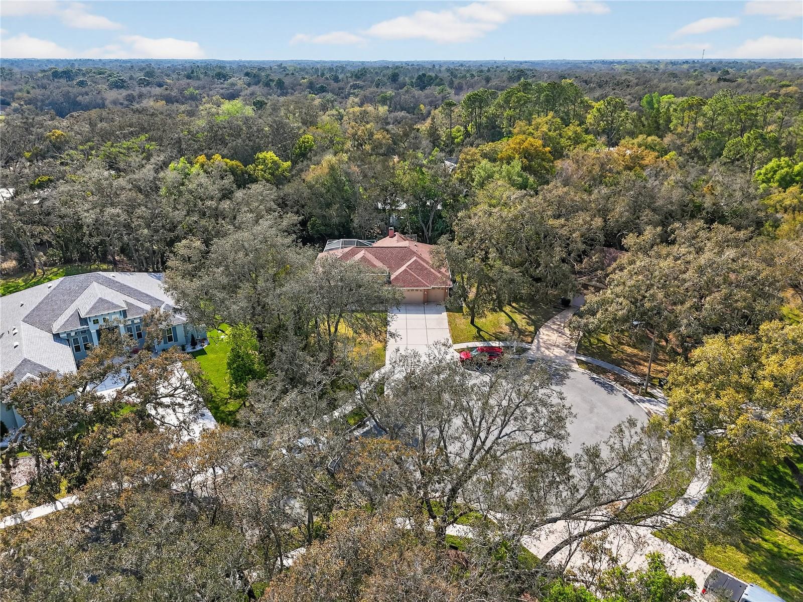 14024 WARM SPRINGS CT, HUDSON, FL — photo 36