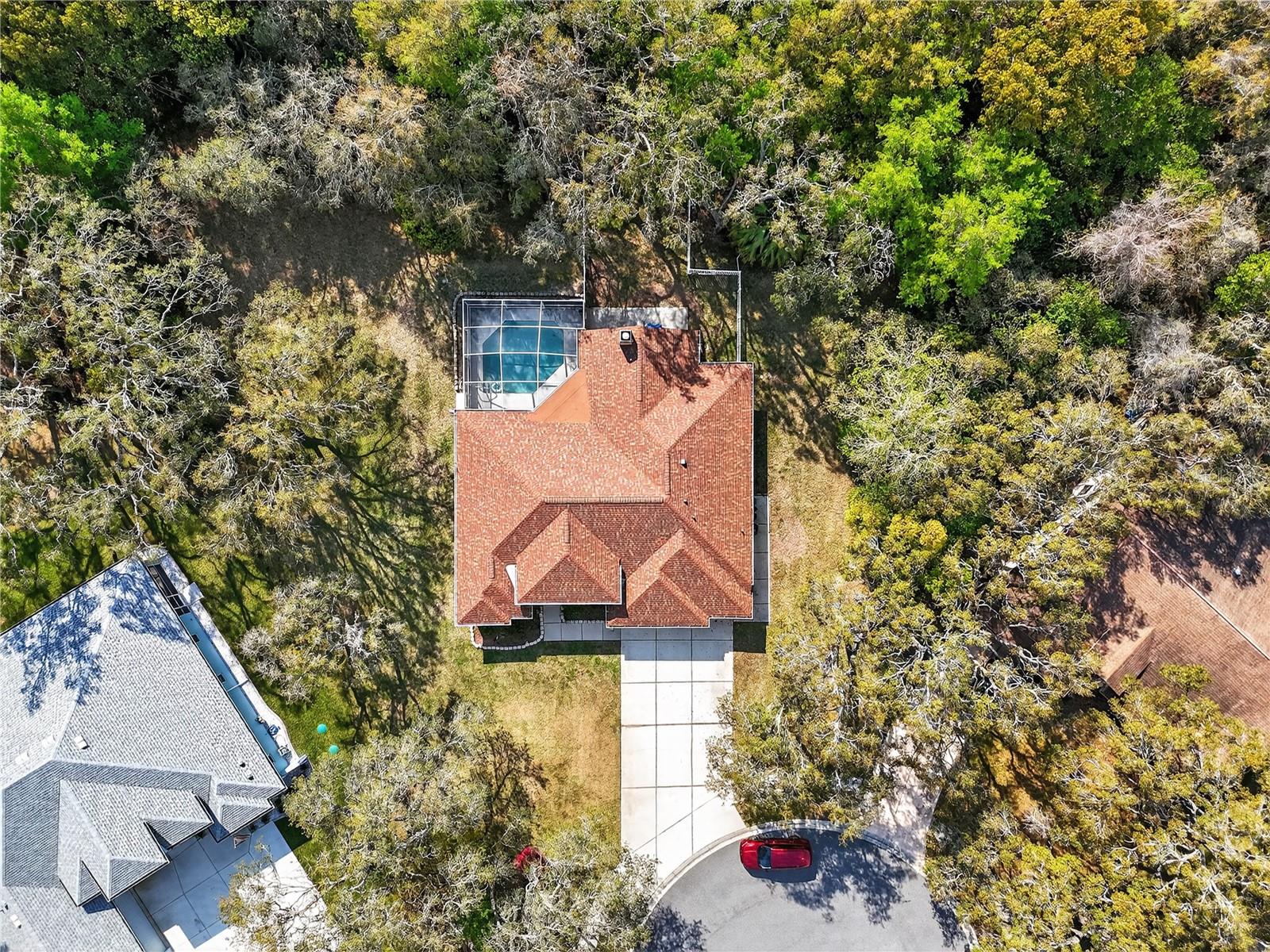 14024 WARM SPRINGS CT, HUDSON, FL — photo 40