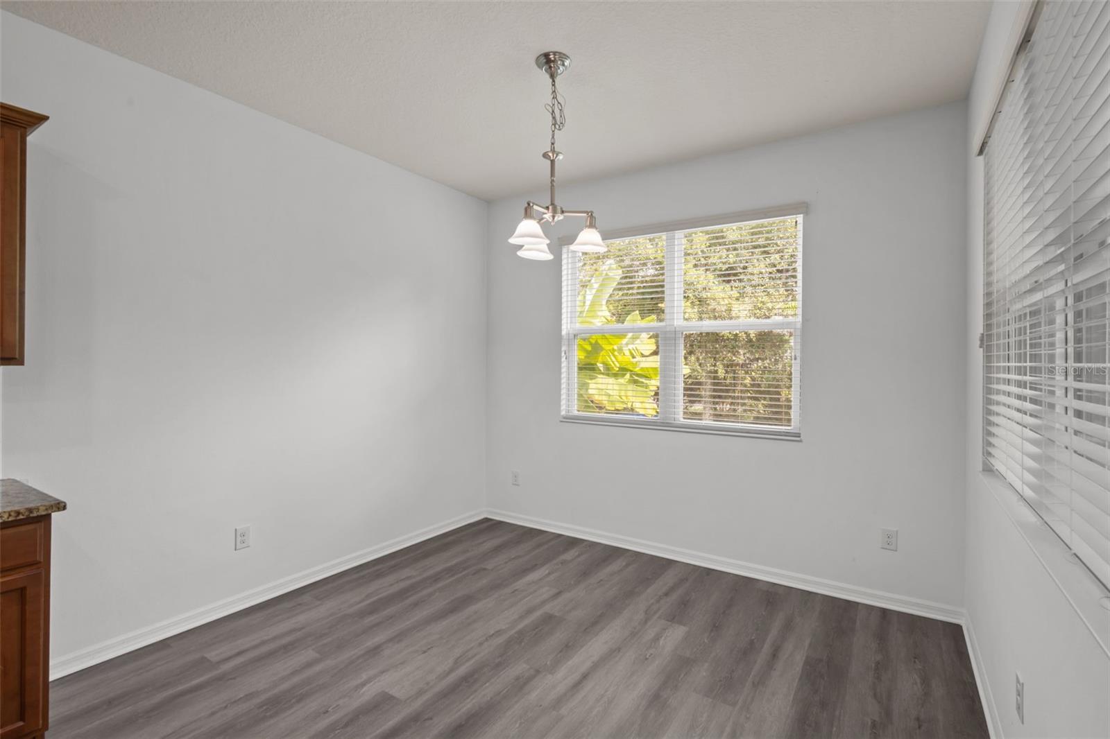 12124 LAKE BLVD, TRINITY, FL — photo 20