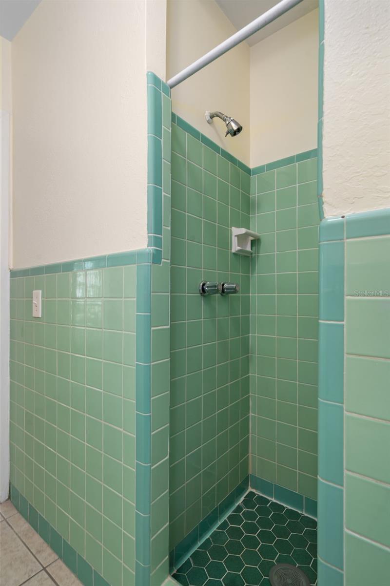 4808 W EUCLID AVE, TAMPA, FL — photo 39