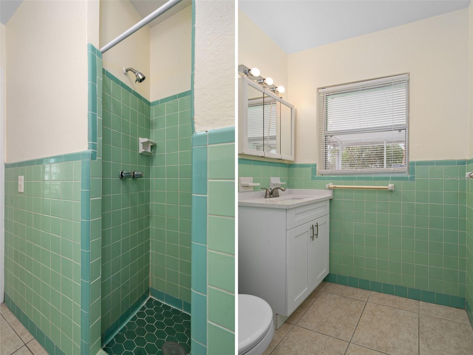 4808 W EUCLID AVE, TAMPA, FL — photo 40