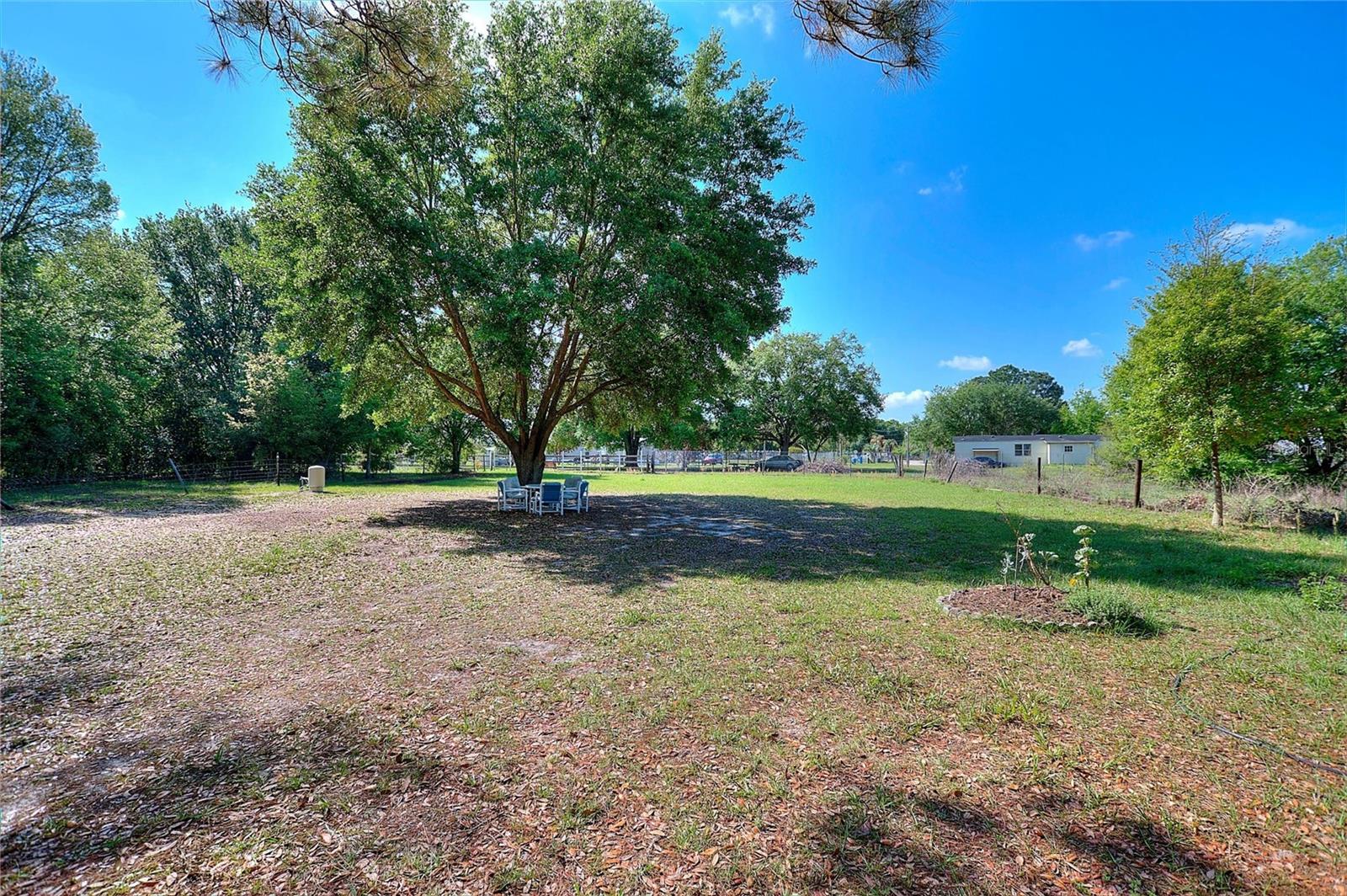 3443 COUNTY ROAD 557A, POLK CITY, FL — photo 39