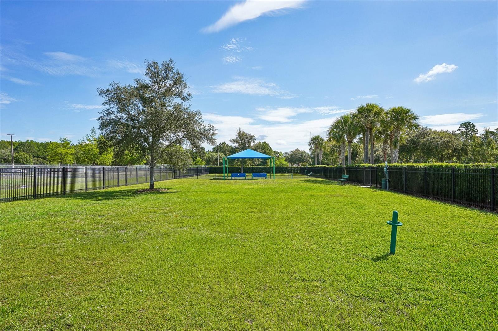 2331 CARNATION HILL CT, ORLANDO, FL — photo 60