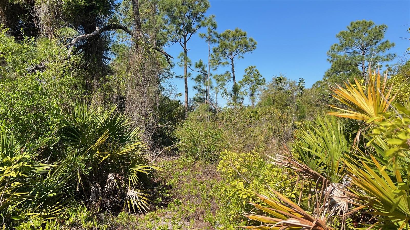 4397 KENNEL ST, PORT CHARLOTTE, FL — photo 7
