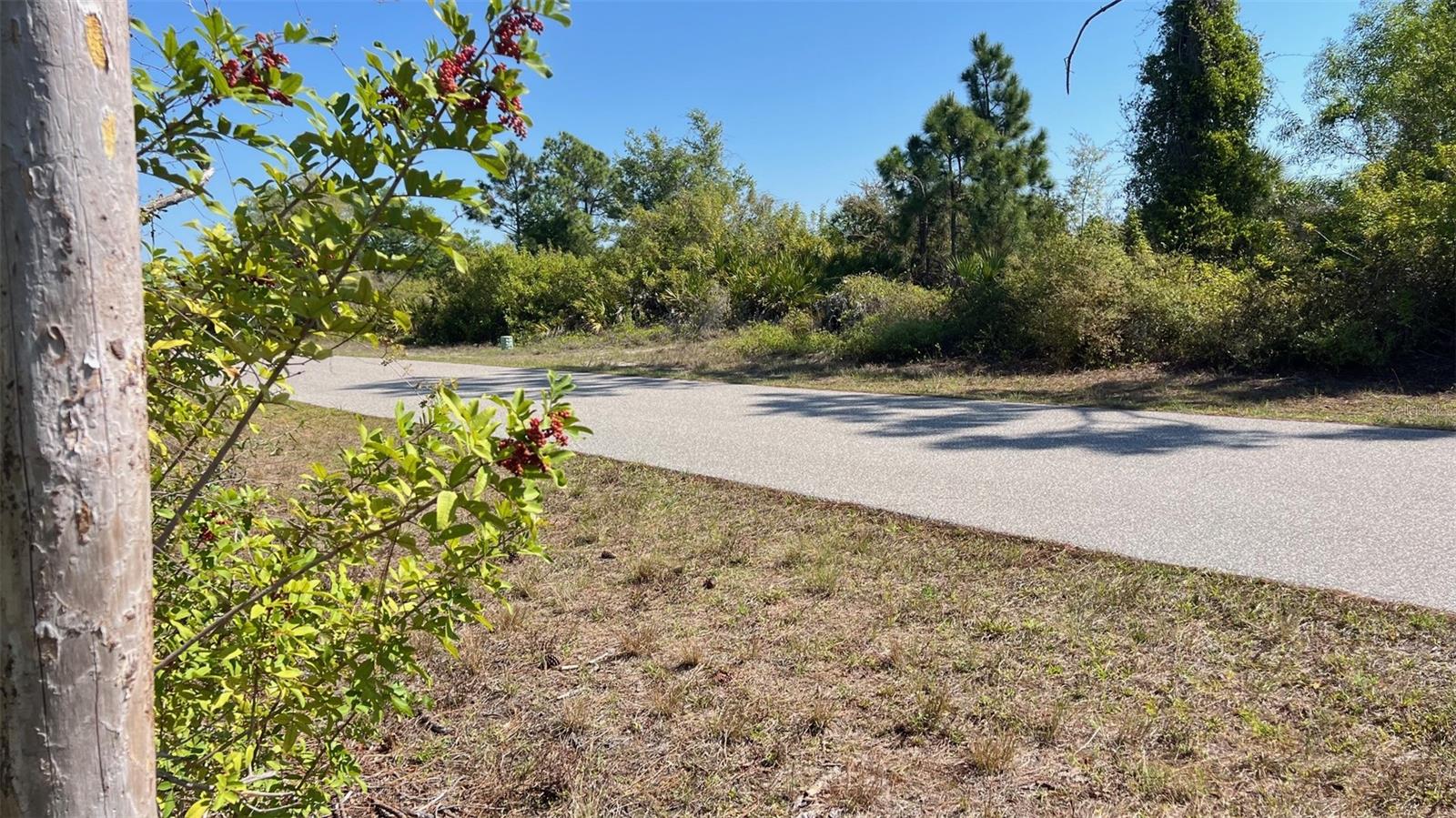 4397 KENNEL ST, PORT CHARLOTTE, FL — photo 9