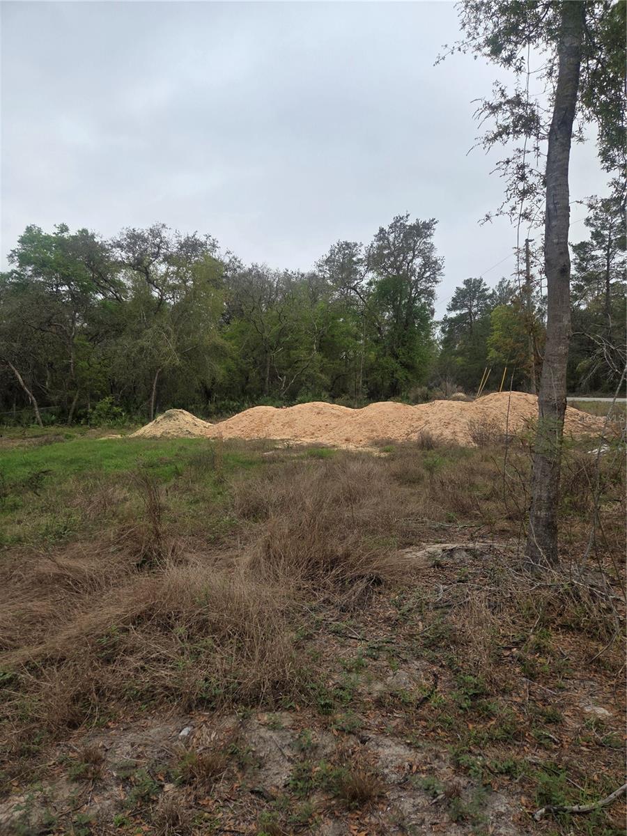 127 SEQUOIA TRL, OCKLAWAHA, FL