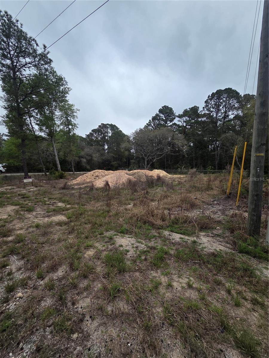 127 SEQUOIA TRL, OCKLAWAHA, FL — photo 2